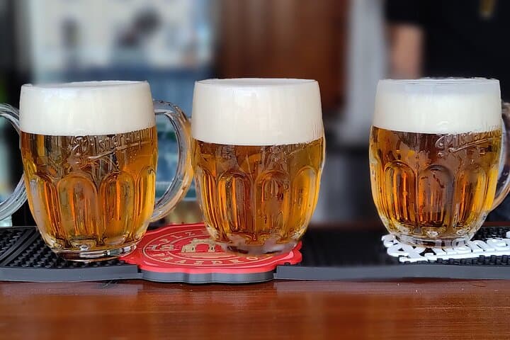 Private Pilsen Tour from Prague: Pilsner Brewery and Old Town