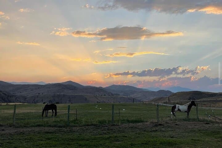 Guided Walking Tour of Methow Meadows and Meet the Animals