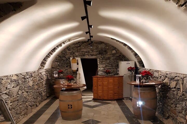 Activity in private minibus, wine tasting in Valais