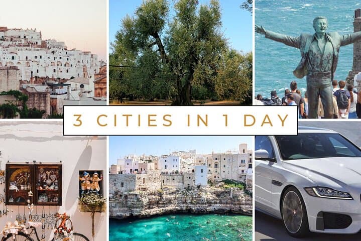 Ostuni, Locorotondo & Polignano: Private Full-day Tour