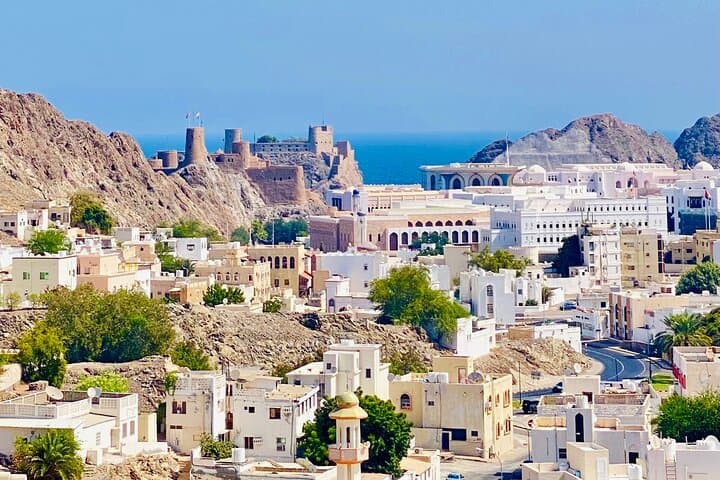 Experience Muscat City Tour-Omani Guide(5-8h)Traditional Food