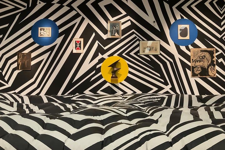 Exploring contemporary art: Private tour of museums with Tickets