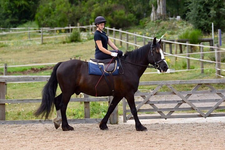 Horseback Riding Experience in Side