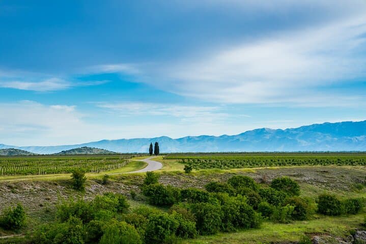 Full Day Private Podgorica Wine Tour Experience