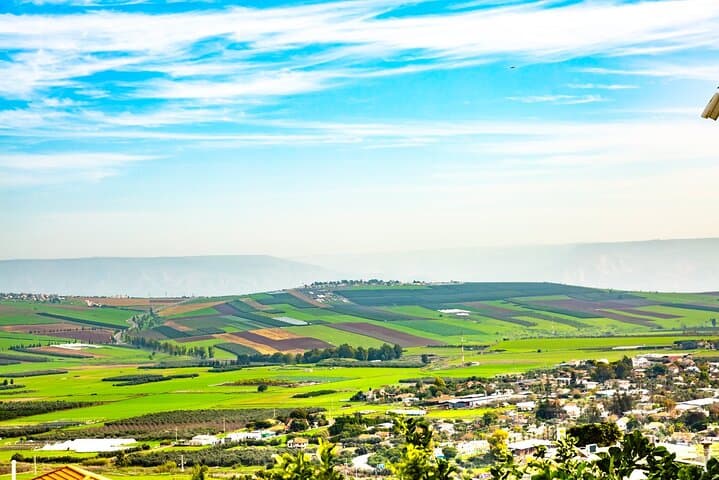 Full-Day Private Galilee & Golan Heights Wine Tour from Tel Aviv