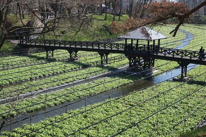 Matsumoto Private One Day Tour from Nagano