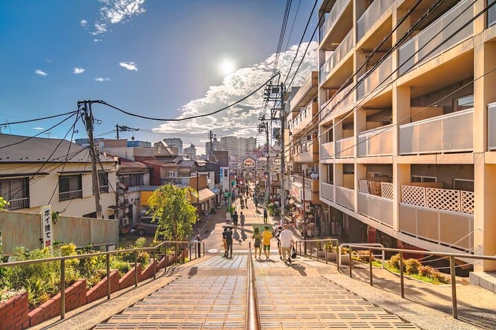 Tokyo Full Day Private Explorer Walking Tour