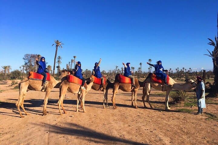 1 hour Shared Camel Ride in Palmeraie