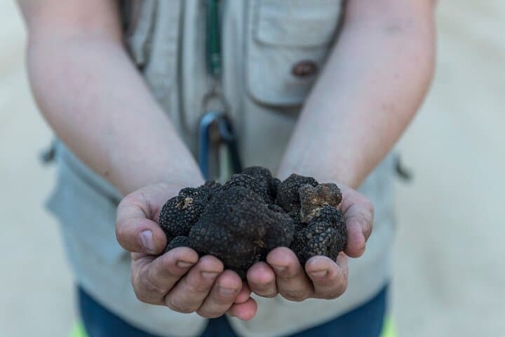Truffle Hunting & Truffle Cooking Class