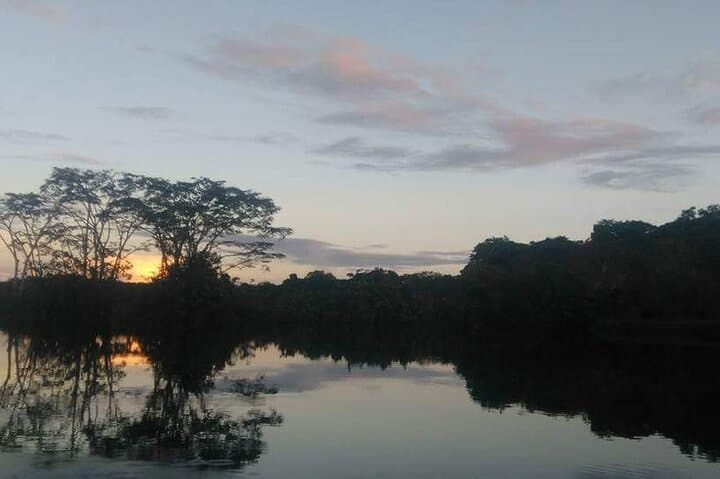 21 day Ecuador tour in Andean jungle and cloud forest