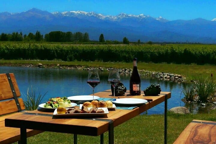 Mendoza full day Bodegas flavors of Maipú