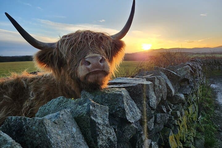 Private Tour of the Scottish Highlands from Edinburgh