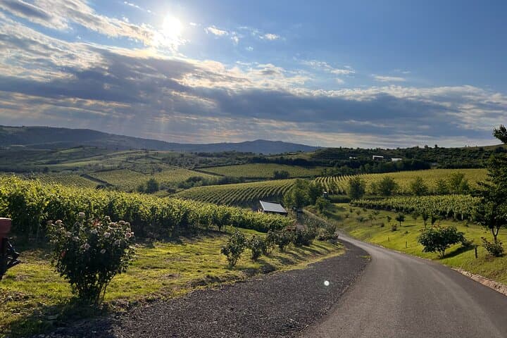 2 Day Green Hills Bike and Wine Escape Days