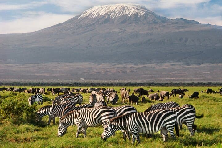 Explore Nairobi's Wilderness on 5-Day Tour