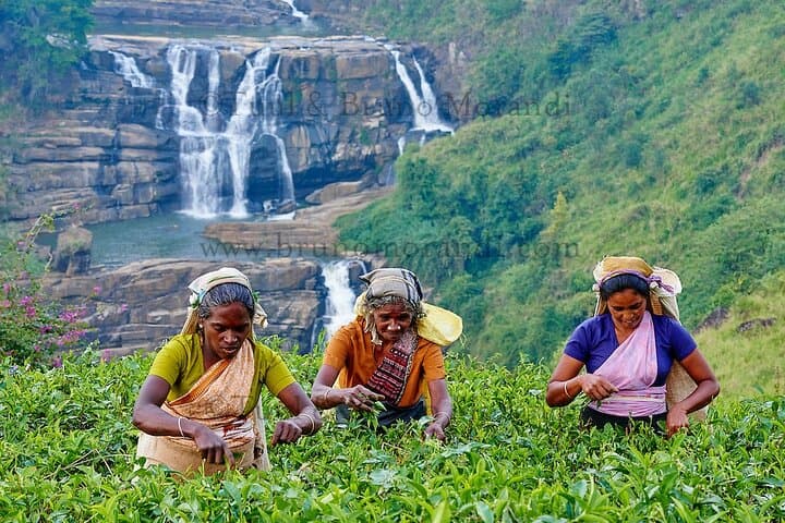 7 Days Ramayana Trails Tour in Sri Lanka