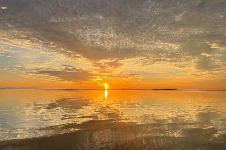 Key Largo Bay Dolphin Sunset Tour