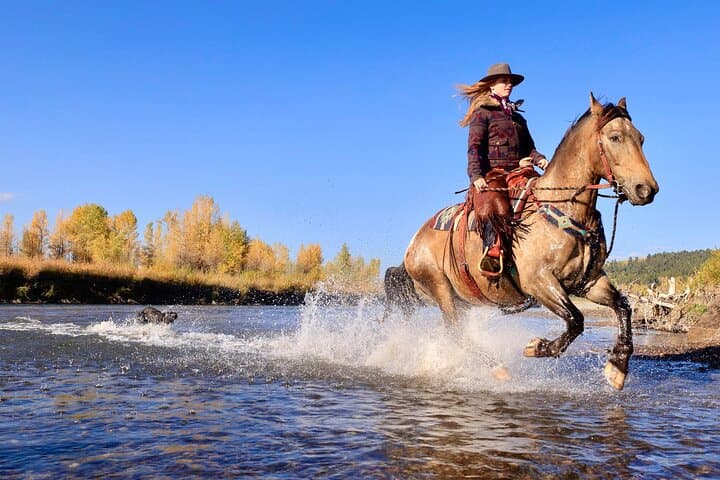 3 Hour Horseback Riding in Jackson Hole