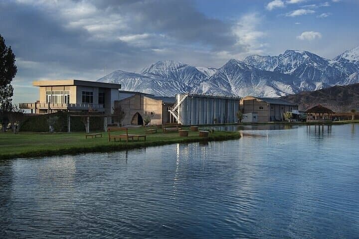 Excursion through Luxury Wineries in the Uco Valley Mendoza