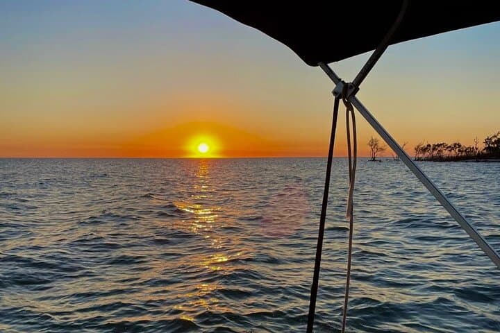 Manatee, Dolphin and 10,000 Islands Sunset Cruise!