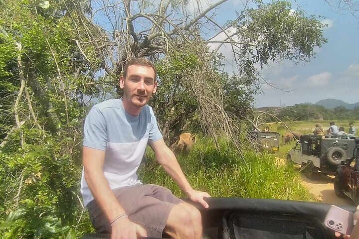 Day tour colombo to sigiriya elephant safari