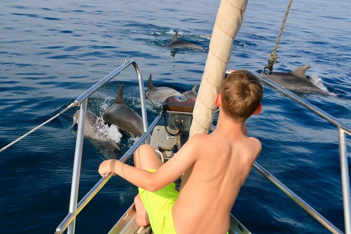 Always private-always sailing with wind-search dolphins-4h