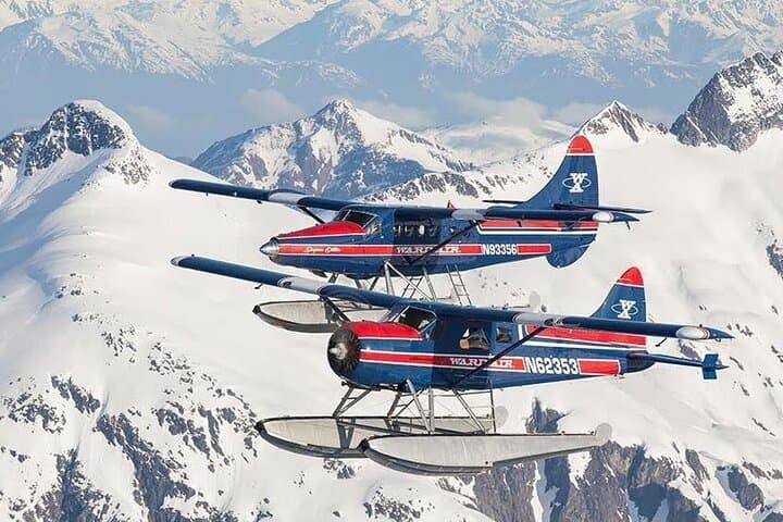 Peak Season Bear Viewing By Seaplane