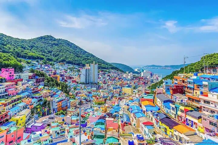 [Busan Private Guide Tour] : Enjoy tours customized only for you!