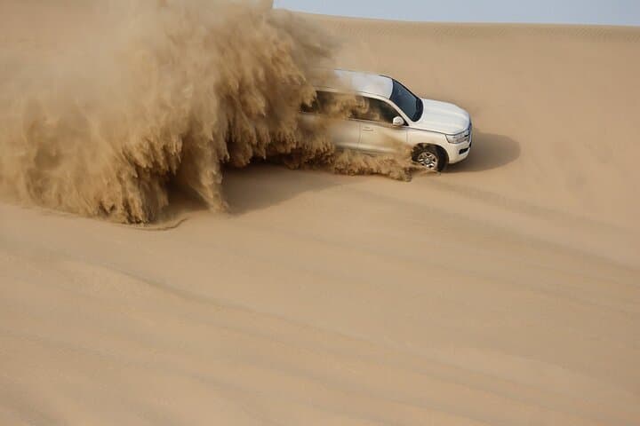 Private Half Day Desert Tour with Camel Ride