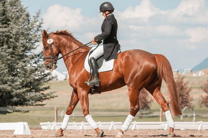 Private Horse Ridding tour