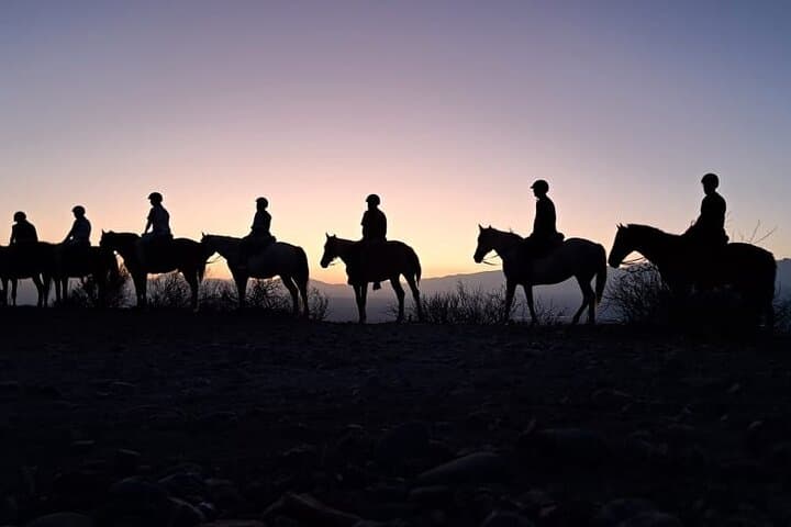 Horseback Riding at Sunset and Dinner at an Estancia in Mendoza