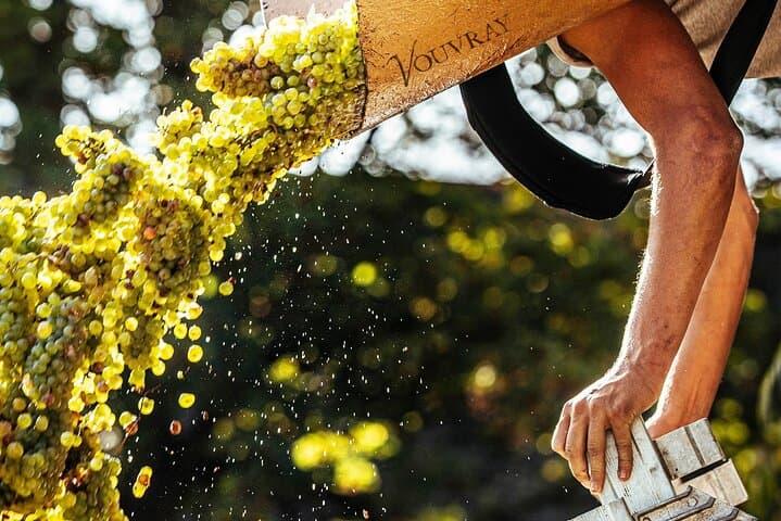 Loire Valley Wine Half Day Tour in Vouvray