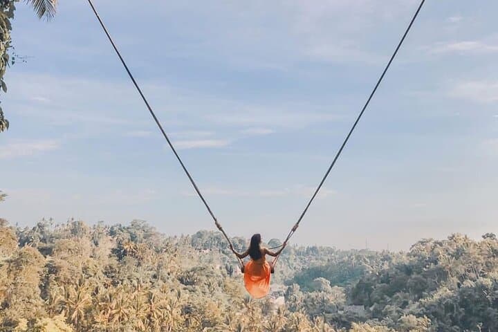 Ubud Full Day - Monkey Forest, Rice Terrace and Waterfalls Tour