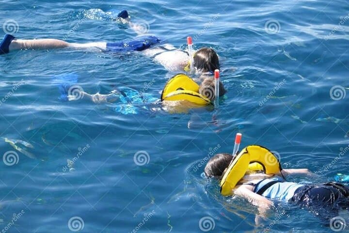Snorkeling Boat Trip with Transfer and Lunch