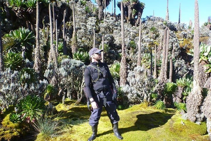 4 Days Mount Bisoke Hike and Bwindi Gorilla Trekking Tour