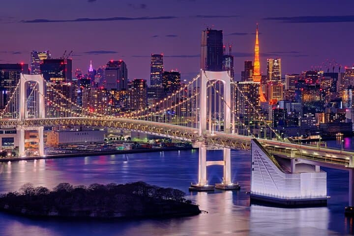 Tokyo Private Custom Full-Day Tour with Local Guide &Hotel Pickup