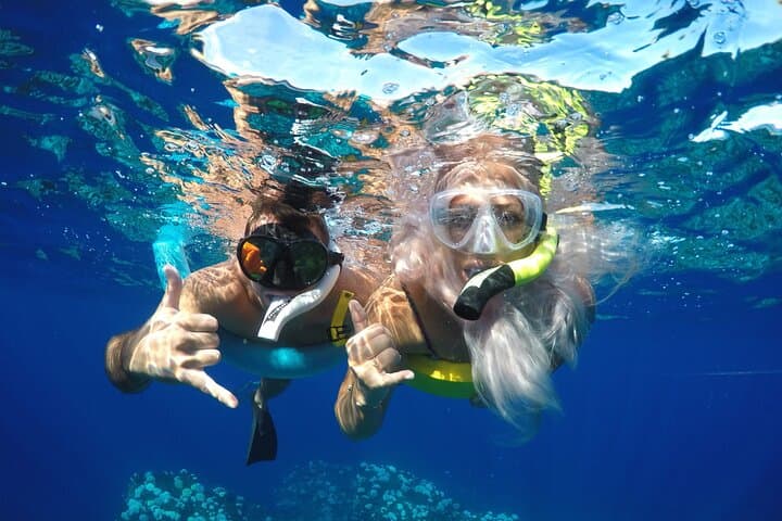 Maui Dolphins & Turtles - Makai Adventures