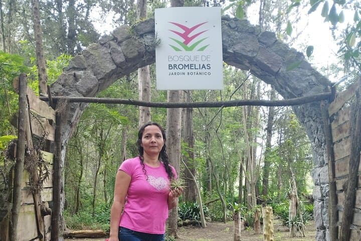 Explore the world of bromeliads - Plant observation