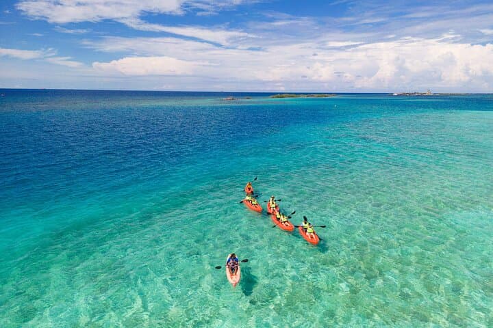 Aruba Kayak Explorers
