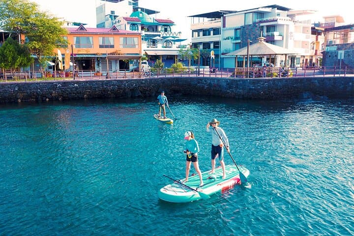 SUPER BAY