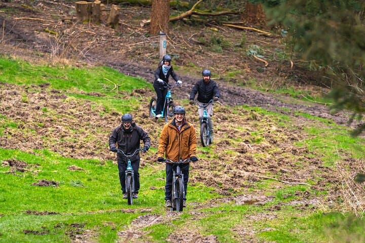 Explore Nature with All-Terrain E-Scooters