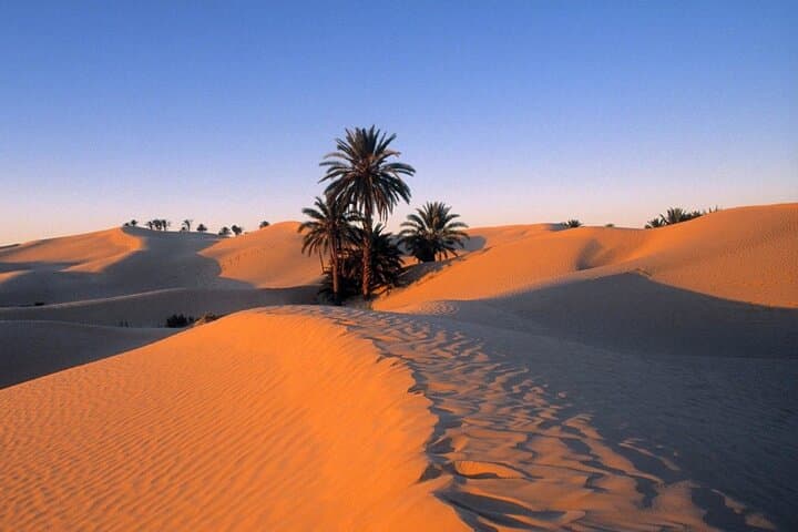 2 days in the desert with night in Bedouin tent.