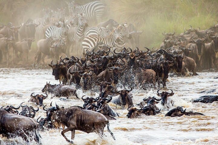 From Plains to Crater: 3-Day Mixed Safari in Northern Tanzania -