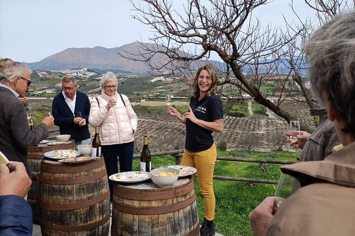 Manilva Oceanfront Wine Experience in the Marbella Area