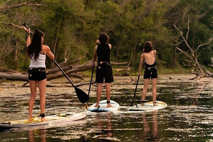 Paddleboard Eco Tour in Toronto Islands, Canada