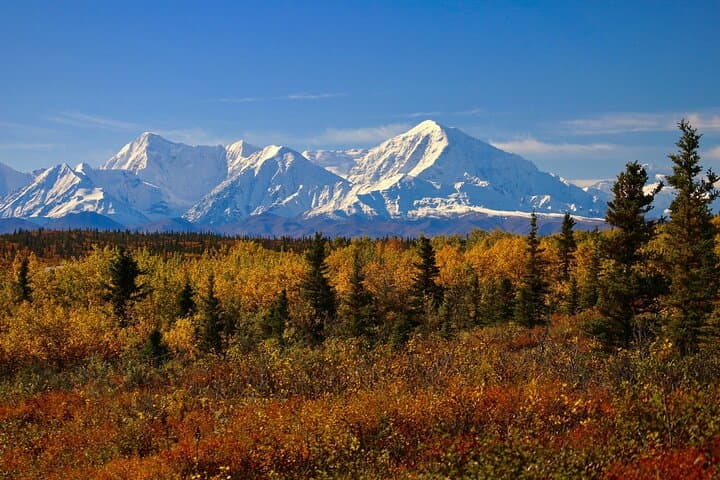 Shared Fairbanks to Denali National Park Entrance Transport