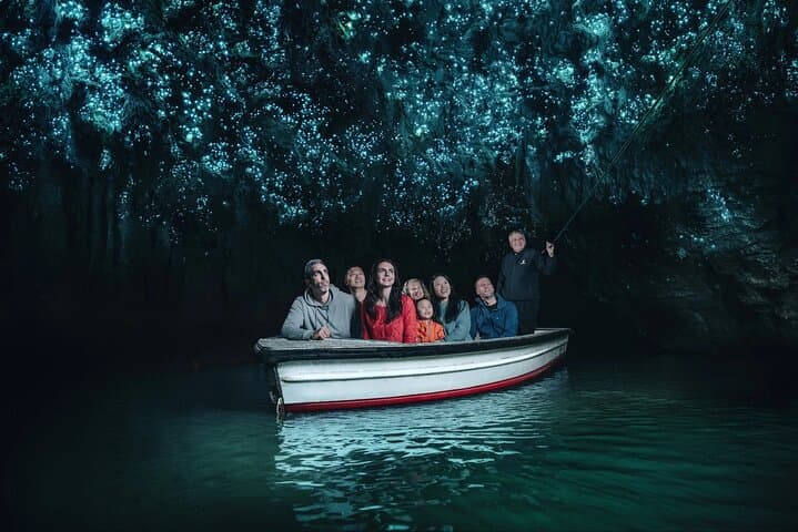 WAITOMO - Twin Caves Discovery - Private Day Tour from Auckland