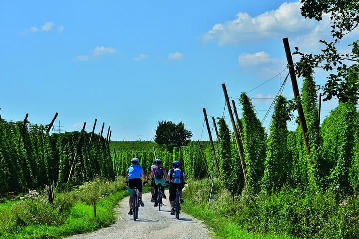 The classic bicycle tour in the Hallertau