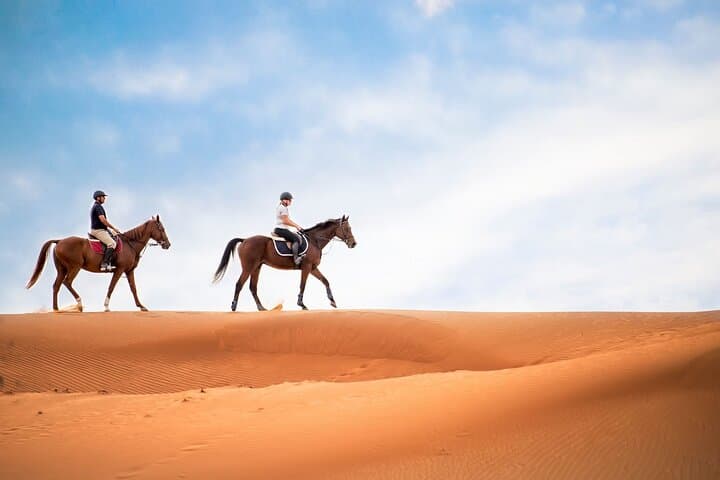 Doha Horseback Riding Adventure in Desert with Transport