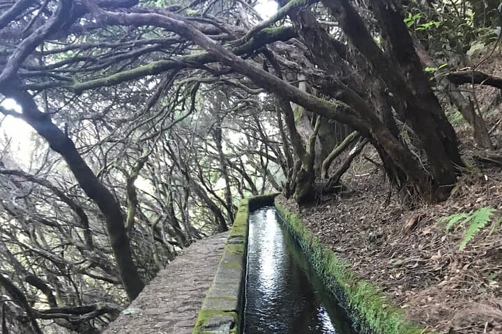 Twenty-Five Fountains Levada walks (private)