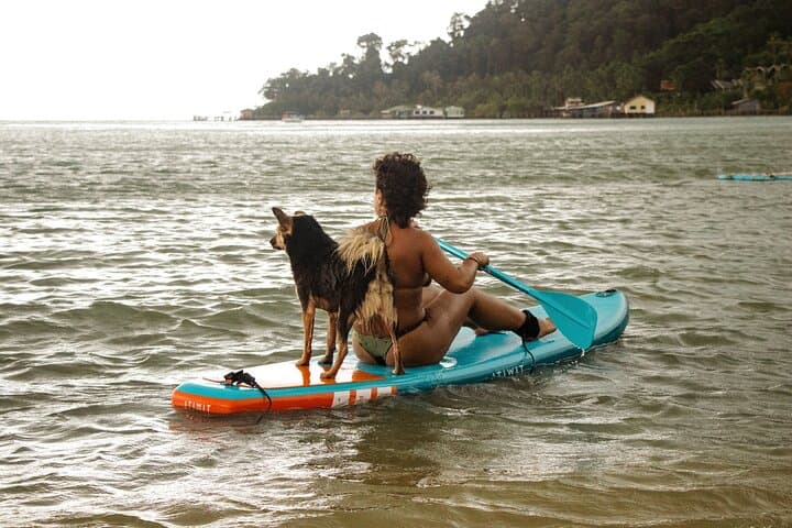 SUP Boarding in the Bay